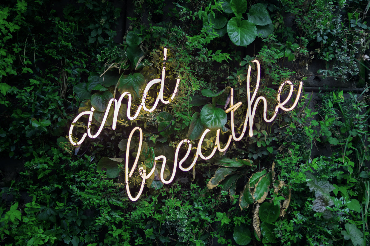 and breathe neon sign on a live wall of plants