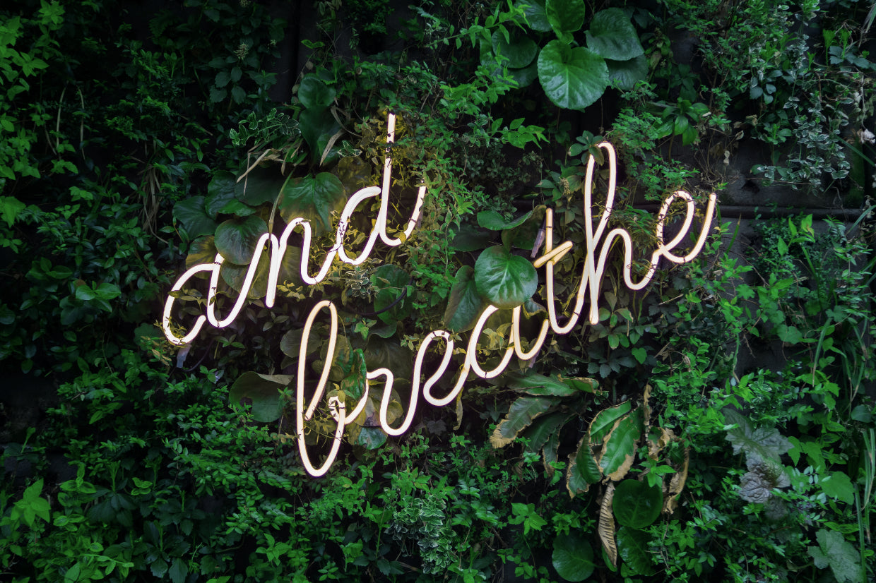 and breathe neon sign on a live wall of plants