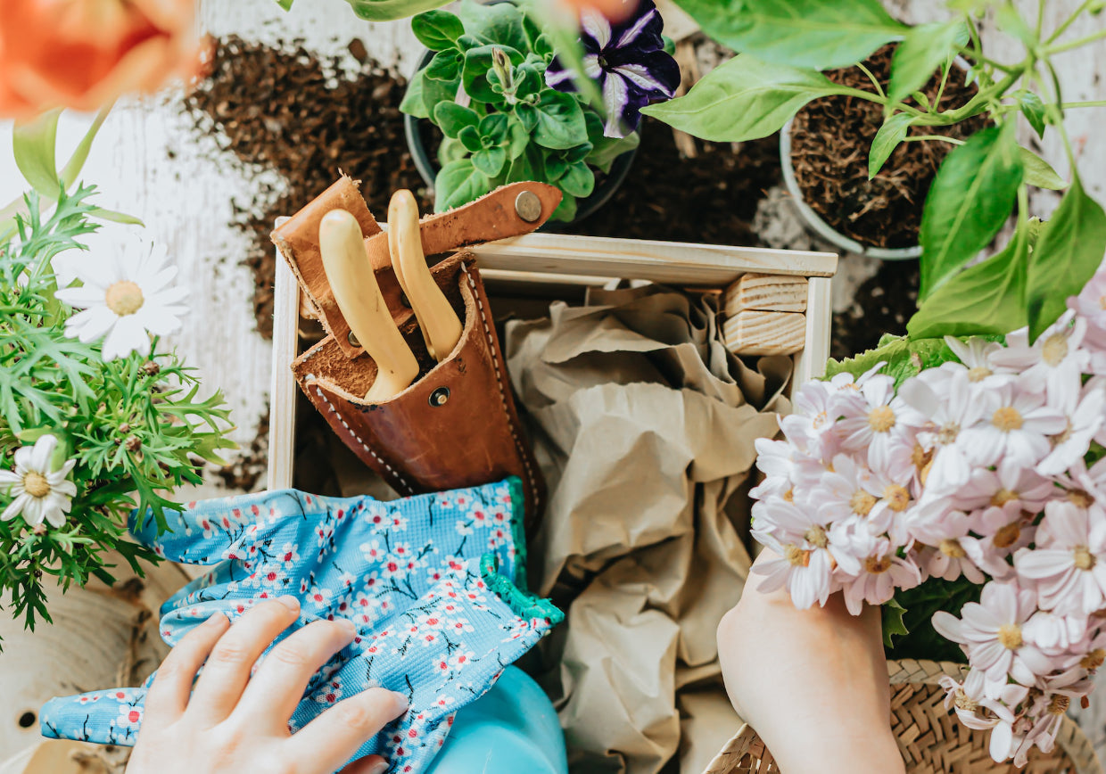 Composting: Benefits And How To Compost At Home