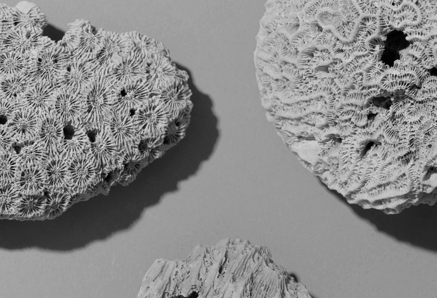 different sea rocks